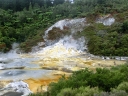 waitomo (37)